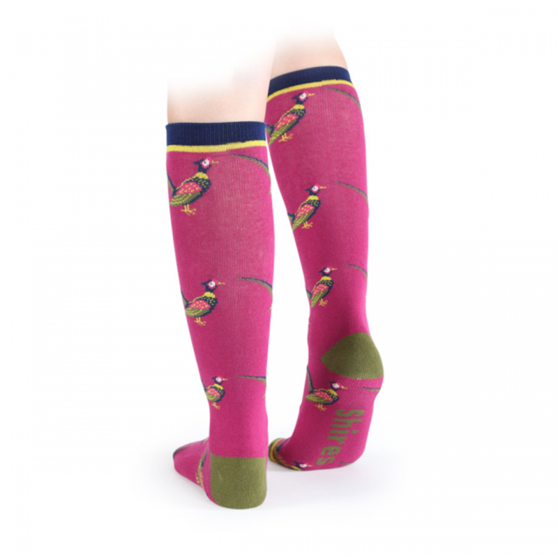 Shires Everyday Childrens Socks 2 Pack - Pheasant-1